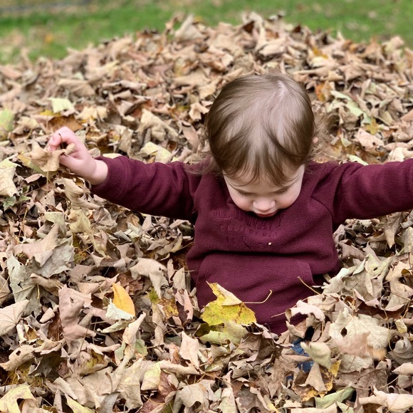 Meet your Posher, Robin - Picture 2 of 2